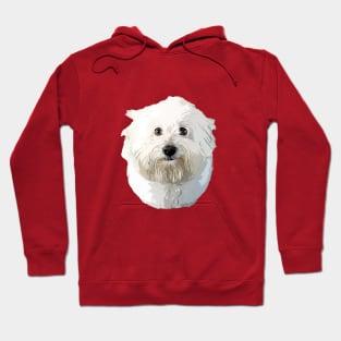 Coton De Tulear Hoodie